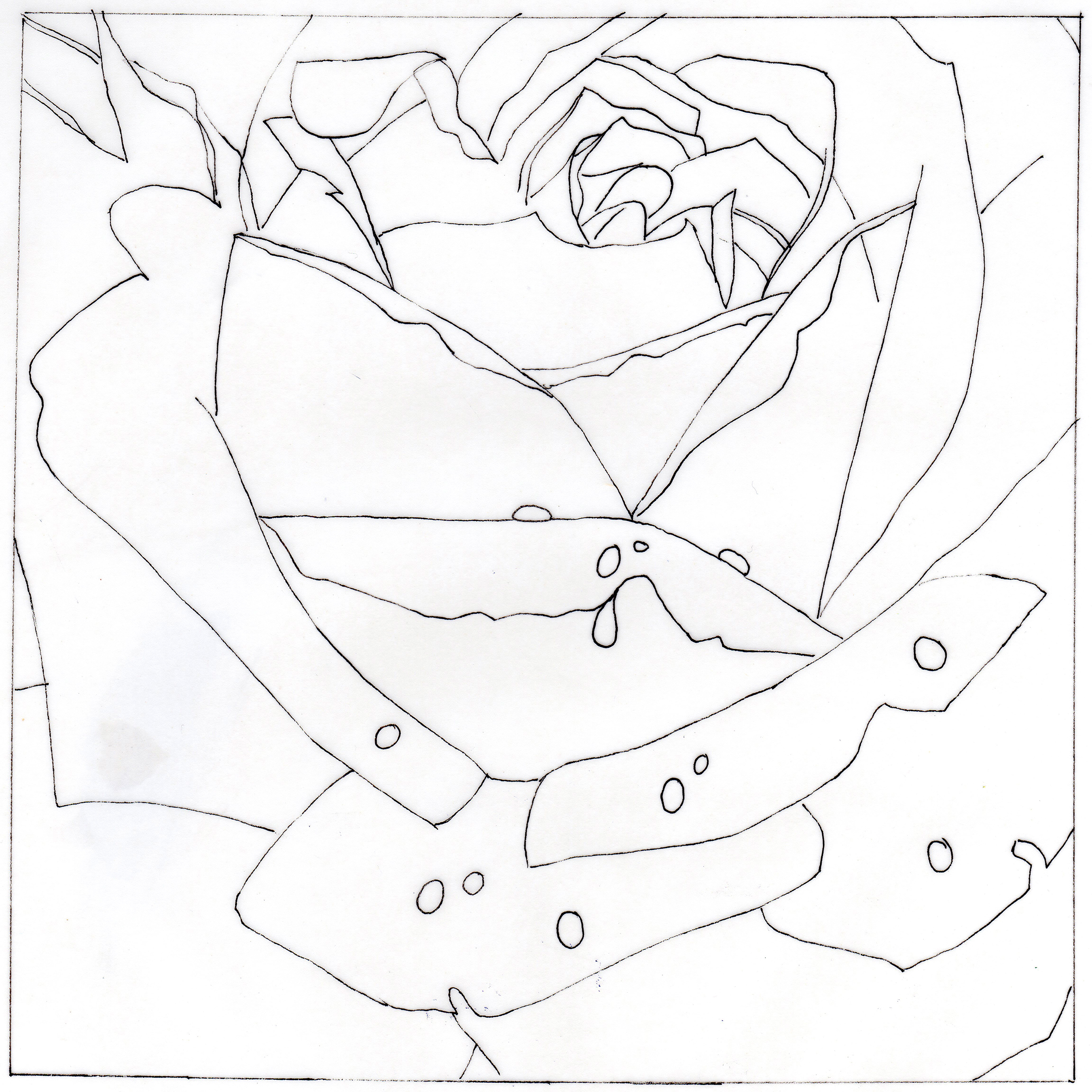 Point à Relier à Imprimer De 1 A 300 Tuto facile de rose à l'aquarelle avec Diverti Éditions